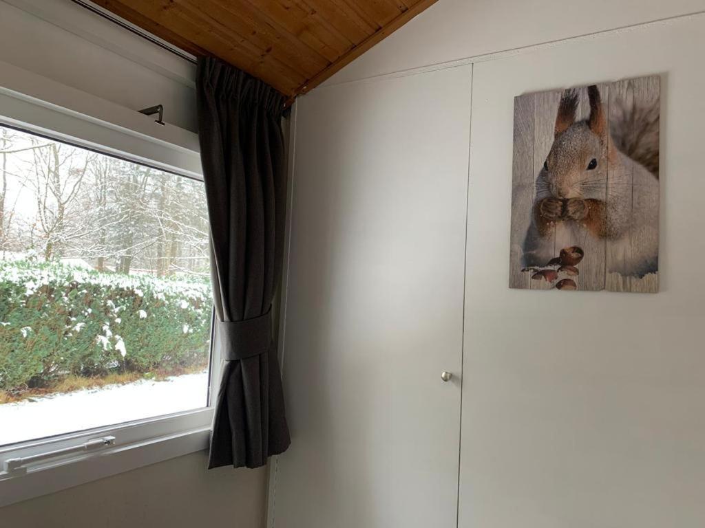 Huisje 96 Exloo Exterior photo